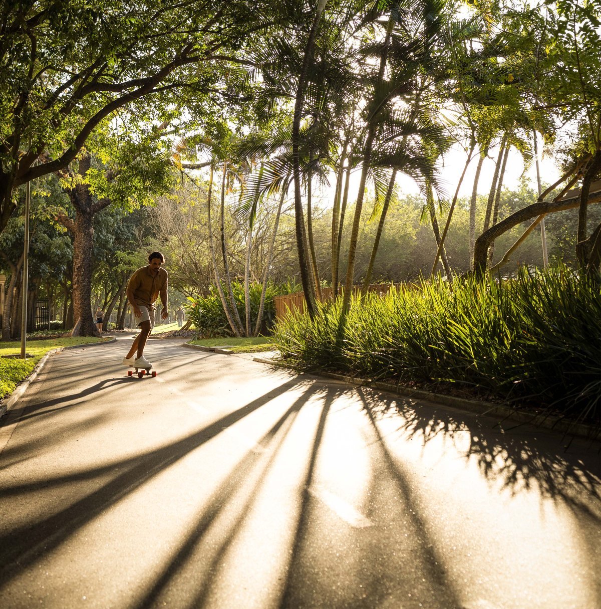 Caminho arborizado do parque linear do Cidade Jardim em fim de tarde